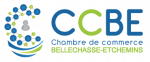 chambre-de-commerce-bellechasse-etchemin_logo_version-horizontale-02-2018-09-24-IwyqG6j4PNIG9AwGtpr5a9NN